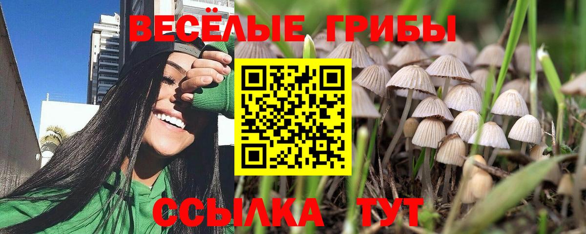 цены наркотик  Псилоцибиновые грибы мицелий  Вход с VPN  Волжск 