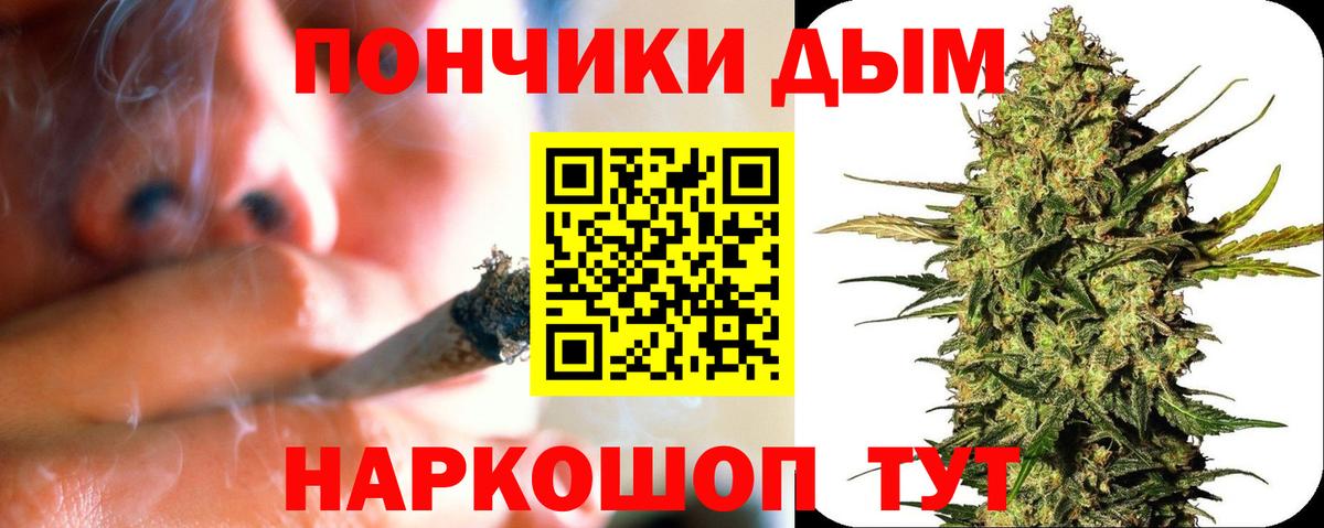 Каннабис ГИДРОПОН  Конопля VHQ  Волжск  Вход с VPN  Канабис планчик 